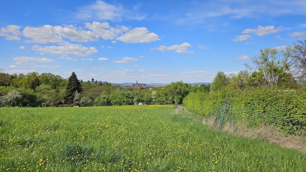 Panoramablick auf Bamberg vom Rössleinsweg aus