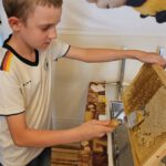 Verarbeitung der Honigernte Bienenweg 2025, Sondertermin Honigernte- und Schleudertage (Bienen-leben-in-Bamberg.de)