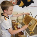 Verarbeitung der Honigernte Bienenweg 2025, Sondertermin Honigernte- und Schleudertage (Bienen-leben-in-Bamberg.de)
