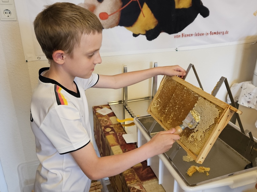 Verarbeitung der Honigernte Bienenweg 2025, Sondertermin Honigernte- und Schleudertage (Bienen-leben-in-Bamberg.de)