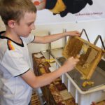 Verarbeitung der Honigernte Bienenweg 2025, Sondertermin Honigernte- und Schleudertage (Bienen-leben-in-Bamberg.de)