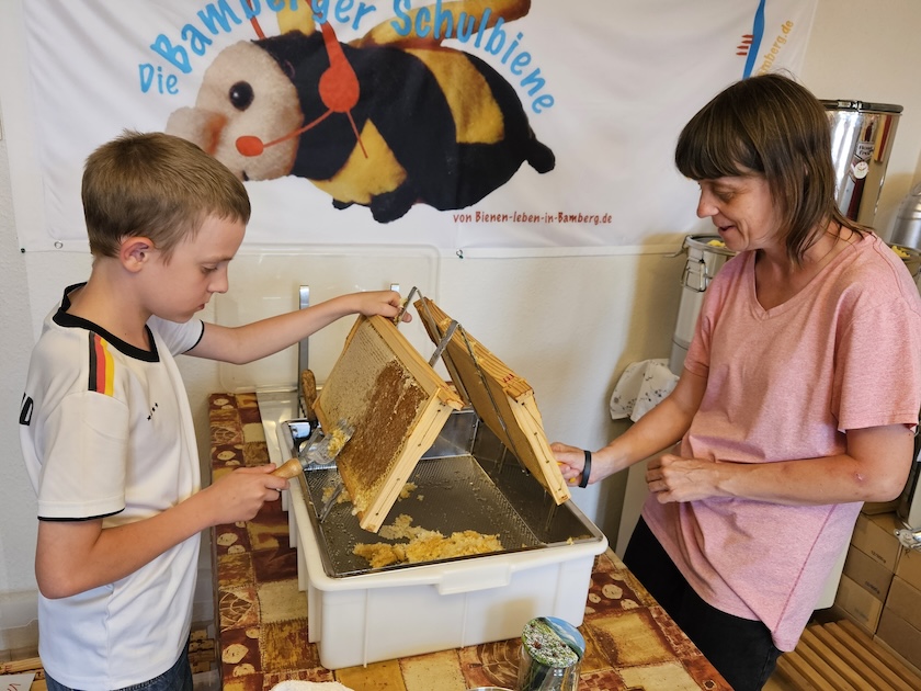 Verarbeitung der Honigernte Bienenweg 2025, Sondertermin Honigernte- und Schleudertage (Bienen-leben-in-Bamberg.de)