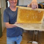 Verarbeitung der Honigernte Bienenweg 2025, Sondertermin Honigernte- und Schleudertage (Bienen-leben-in-Bamberg.de)