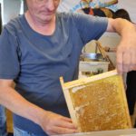 Verarbeitung der Honigernte Bienenweg 2025, Sondertermin Honigernte- und Schleudertage (Bienen-leben-in-Bamberg.de)