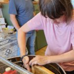 Verarbeitung der Honigernte Bienenweg 2025, Sondertermin Honigernte- und Schleudertage (Bienen-leben-in-Bamberg.de)