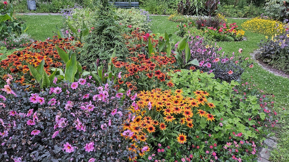 Sommerflor Alter Botanischer Garten Bamberg