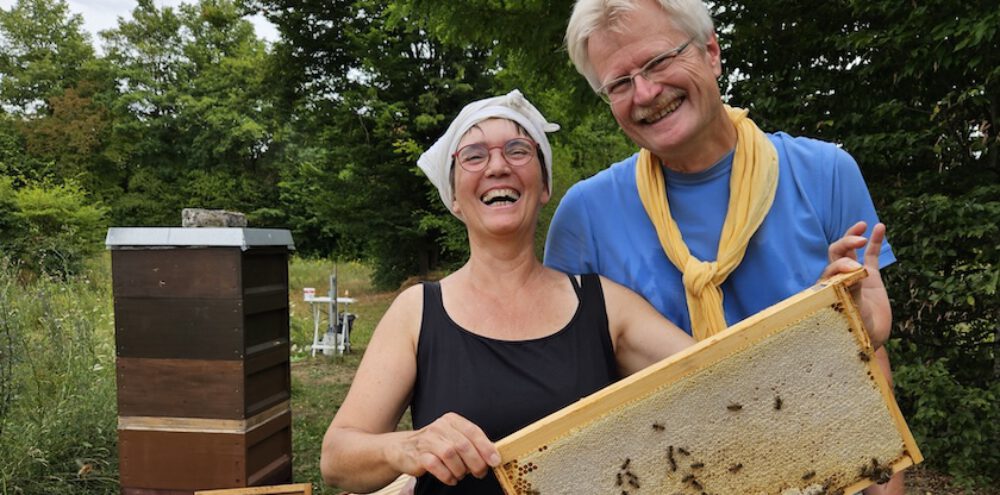 bienen-leben-in-bamberg.de