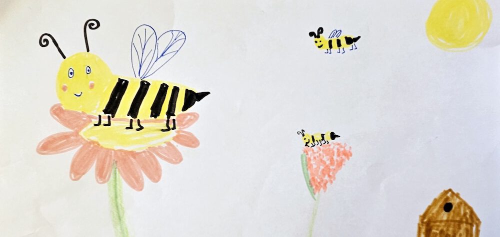 bienen-leben-in-bamberg.de