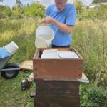 Imker-Anfängerkurs, Modul 11, Einfüttern BLIB-Imkerkurs für Anfänger / Bienen-leben-in-Bamberg.de