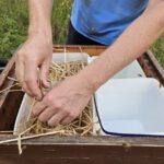 Imker-Anfängerkurs, Modul 11, Einfüttern BLIB-Imkerkurs für Anfänger / Bienen-leben-in-Bamberg.de
