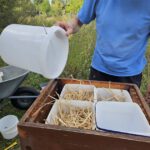 Imker-Anfängerkurs, Modul 11, Einfüttern BLIB-Imkerkurs für Anfänger / Bienen-leben-in-Bamberg.de