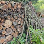 Bio-Gärtnerei Leumer Mussärol, Bamberg