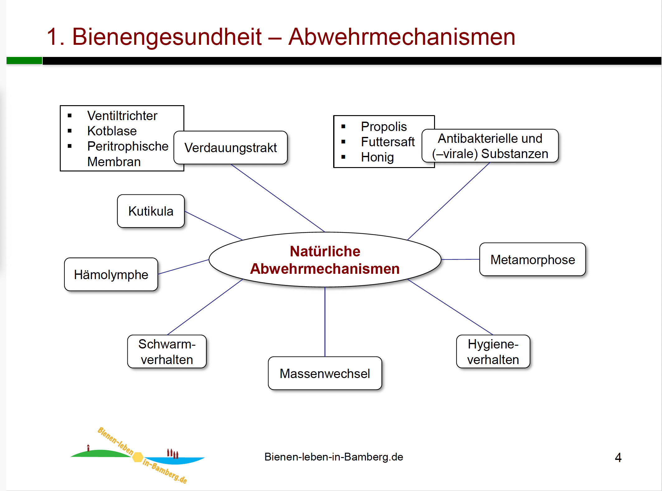 AK25, M3, Bienenkrankheiten Abwehrmechanismen / Bienen-leben-in-Bamberg.de