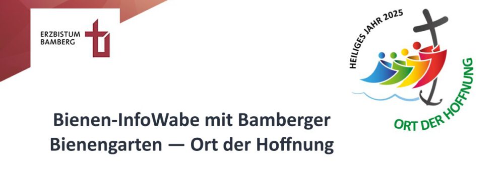 bienen-leben-in-bamberg.de