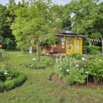 Bienen-InfoWabe mit Schau-Pfingstrosenbeet im Bamberger Bienengarten