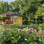 Bienen-InfoWabe mit Schau-Pfingstrosenbeet im Bamberger Bienengarten