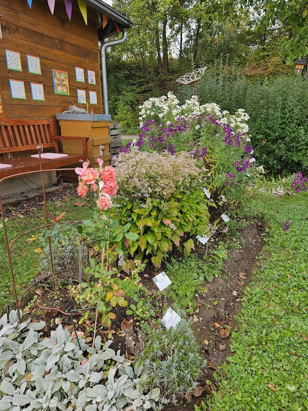 Staudenbeet 1 im Bamberger Bienengarten an der Bienen-InfoWabe