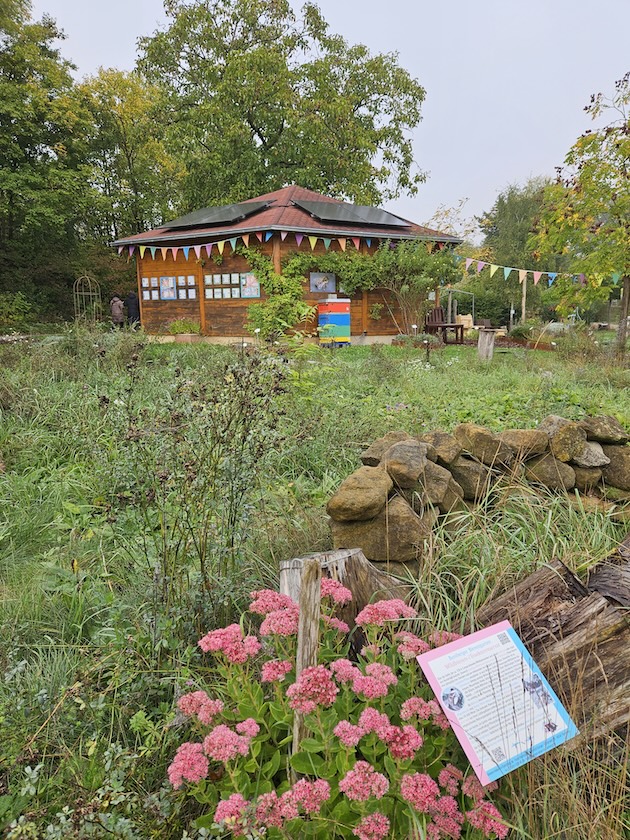 Insektenreservat und Blühwiese im Bamberger Bienengarten