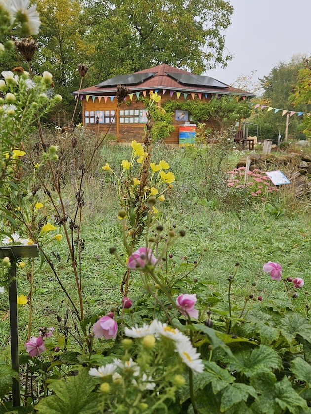 Blühwiese im Bamberger Bienengeraten