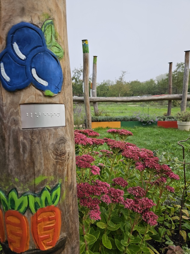 Staudenbeet 2 im Bamberger Bienengarten an der Bienen-InfoWabe