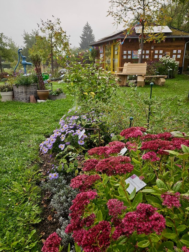 Staudenbeet 2 im Bamberger Bienengarten an der Bienen-InfoWabe