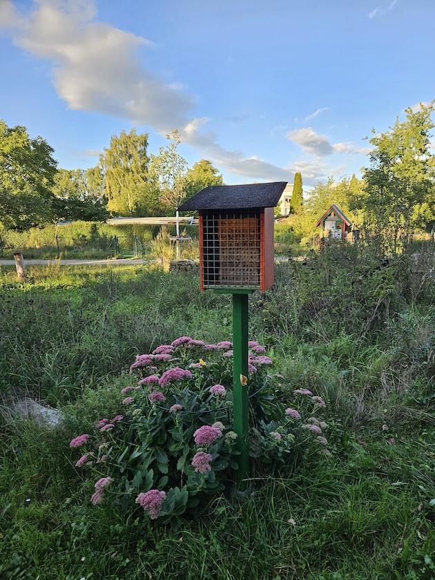 Wildbienennisthilfe an der Blühwiese im Bamberger Bienengarten