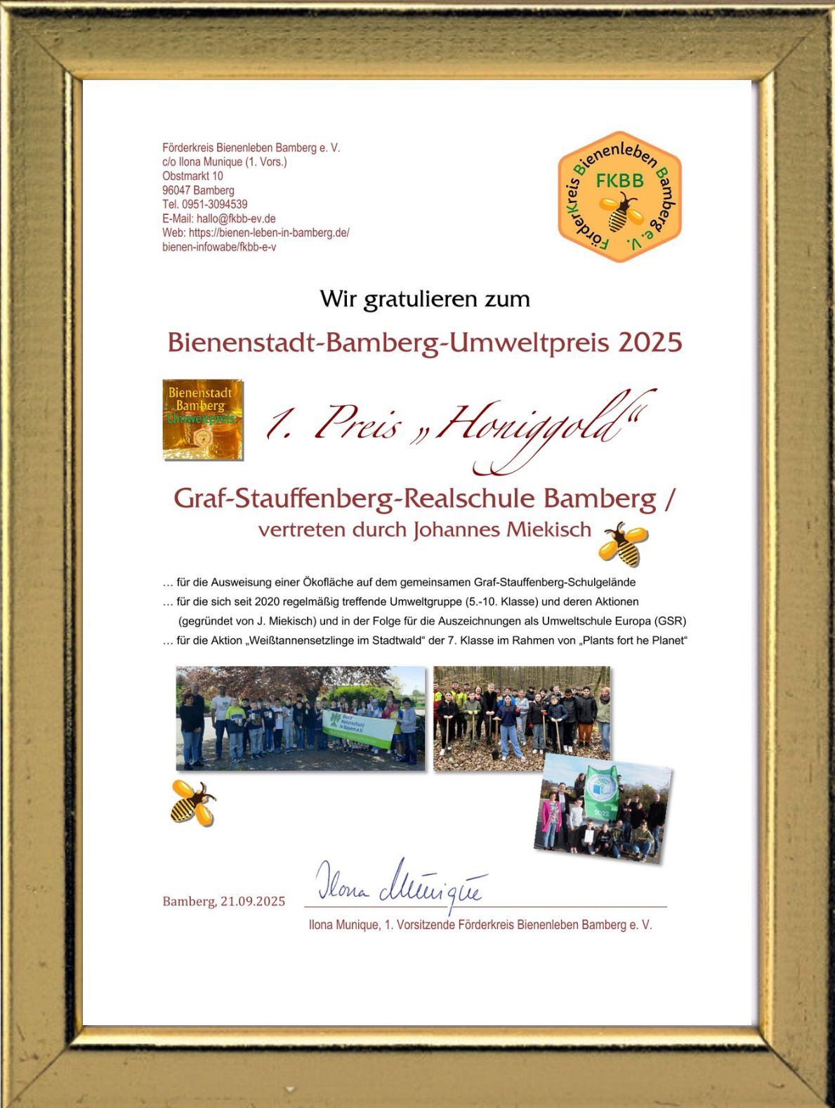 Urkunde zum Bienenstadt-Bamberg-Umweltpreis 2025 (BBU25)