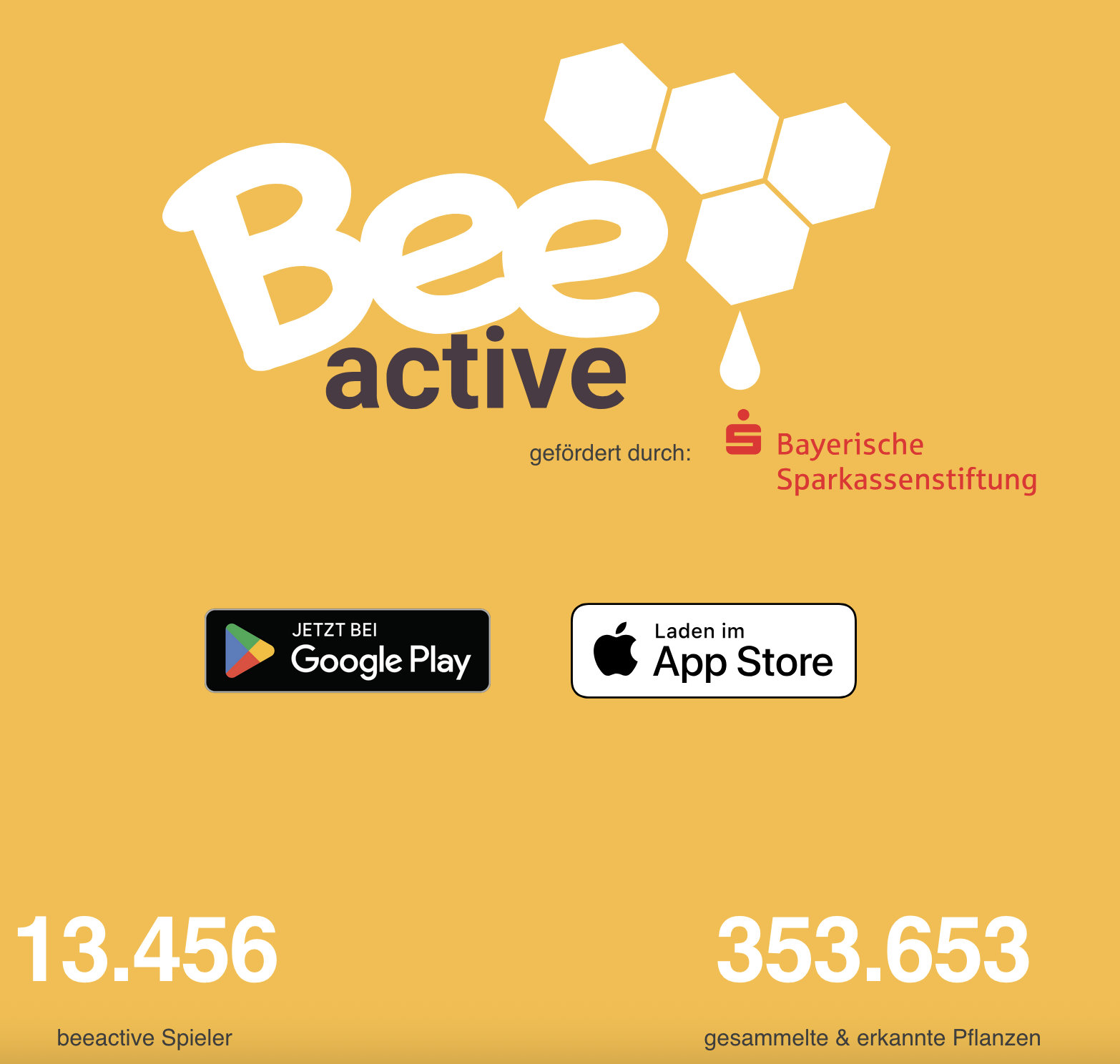 Screenshot Webseitte / App Beeactive