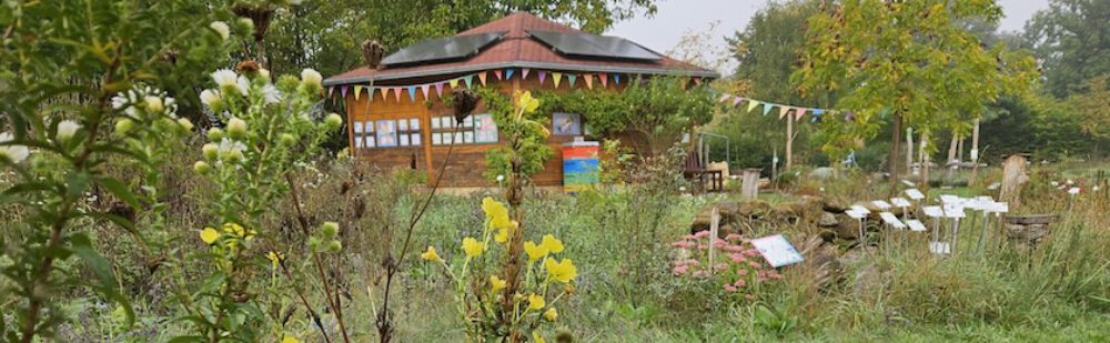 bienen-leben-in-bamberg.de