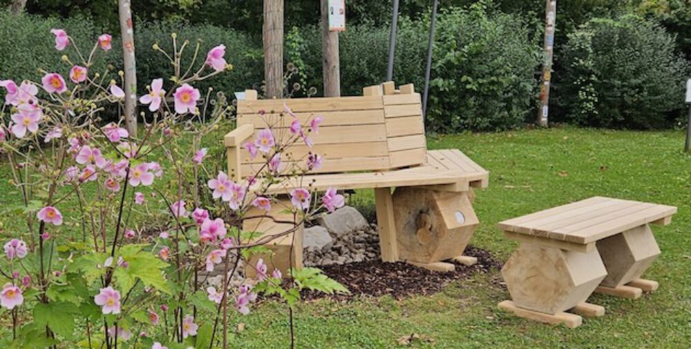 bienen-leben-in-bamberg.de