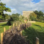 Heidelsteigpark im Bamberger Osten, hervorgegangen aus dem Modellprojekt "MitmachKlima"