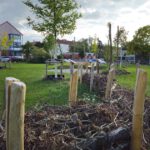 Heidelsteigpark im Bamberger Osten, hervorgegangen aus dem Modellprojekt "MitmachKlima"