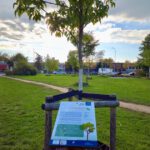 Heidelsteigpark im Bamberger Osten, hervorgegangen aus dem Modellprojekt "MitmachKlima"