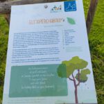 Heidelsteigpark im Bamberger Osten, hervorgegangen aus dem Modellprojekt "MitmachKlima"