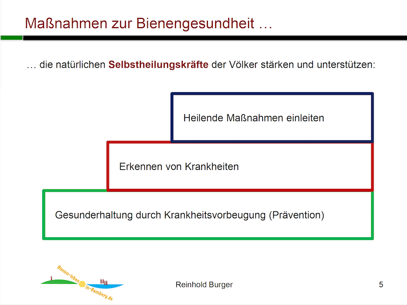 Vortrag Bienenkrankheiten von Reinhold Burger bei den Bienenfreunden Zapfendorf