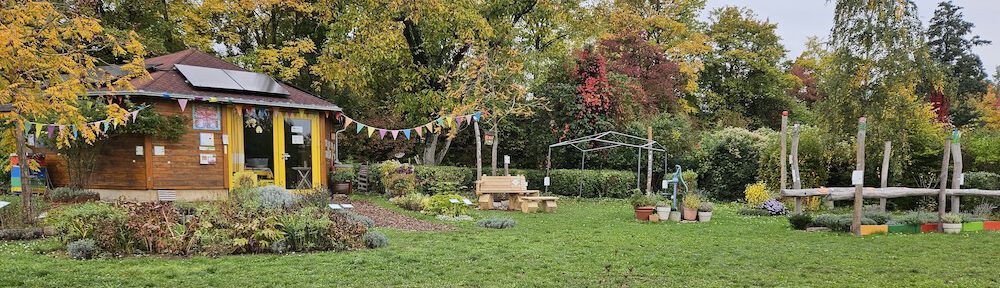 bienen-leben-in-bamberg.de