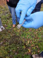 Oxalsäurebehandlung, Restentmilbung (BLIB-Imkerkurs für Anfänger AK25, Modul 12)