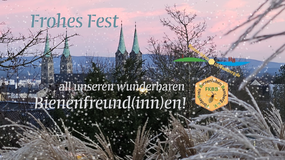 Weihnachtsgrüße 2025