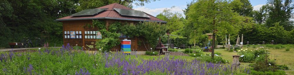 bienen-leben-in-bamberg.de