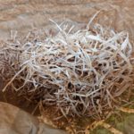 Holzwolle für Grillanzünder