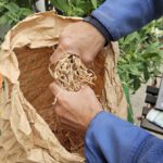 Grillanzünder aus Holzwolle und Altwachs