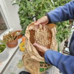 Grillanzünder aus Holzwolle und Altwachs