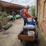 Einzug Bienenvolk von Bienen-leben-in-Bamberg.de zur Bio-Gärtnerei Niedermaier