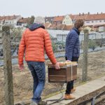 Einzug Bienenvolk von Bienen-leben-in-Bamberg.de zur Bio-Gärtnerei Niedermaier