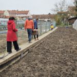 Einzug Bienenvolk von Bienen-leben-in-Bamberg.de zur Bio-Gärtnerei Niedermaier