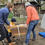 Einzug Bienenvolk von Bienen-leben-in-Bamberg.de zur Bio-Gärtnerei Niedermaier