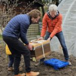 Einzug Bienenvolk von Bienen-leben-in-Bamberg.de zur Bio-Gärtnerei Niedermaier
