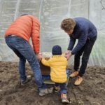 Einzug Bienenvolk von Bienen-leben-in-Bamberg.de zur Bio-Gärtnerei Niedermaier