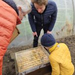 Einzug Bienenvolk von Bienen-leben-in-Bamberg.de zur Bio-Gärtnerei Niedermaier