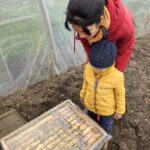 Einzug Bienenvolk von Bienen-leben-in-Bamberg.de zur Bio-Gärtnerei Niedermaier